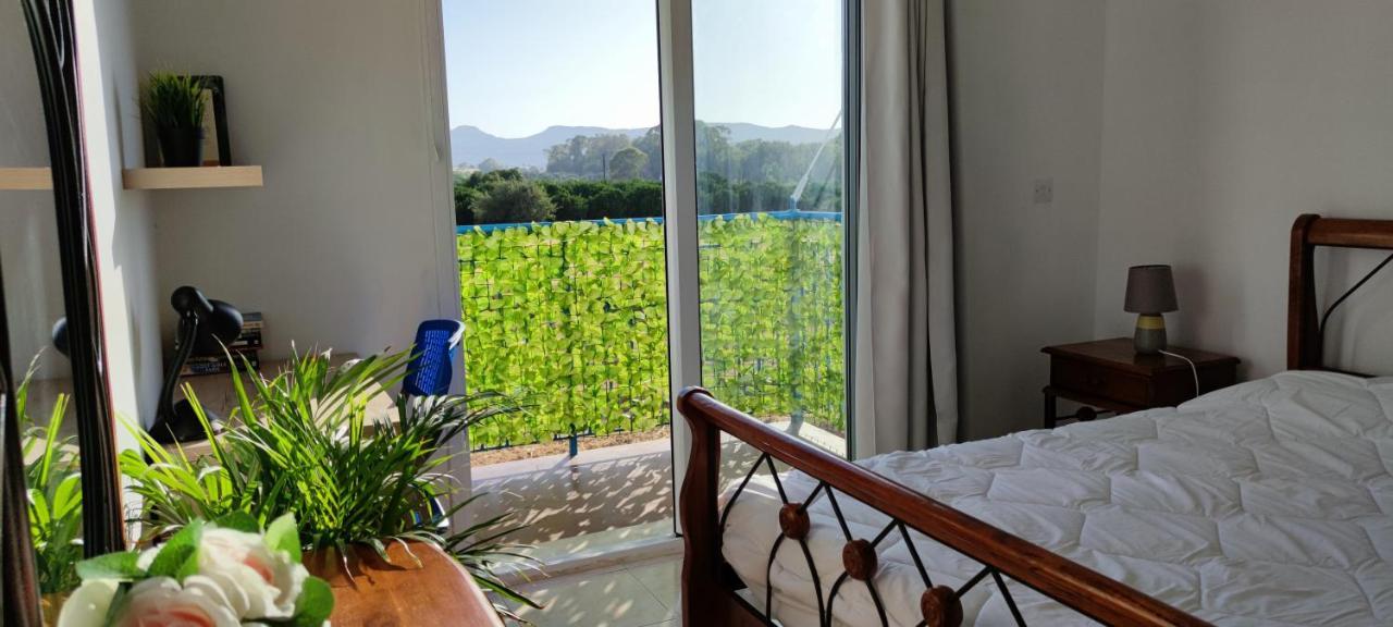 Thalassa Seaside Boutique Beach Apartment Polis Exterior foto