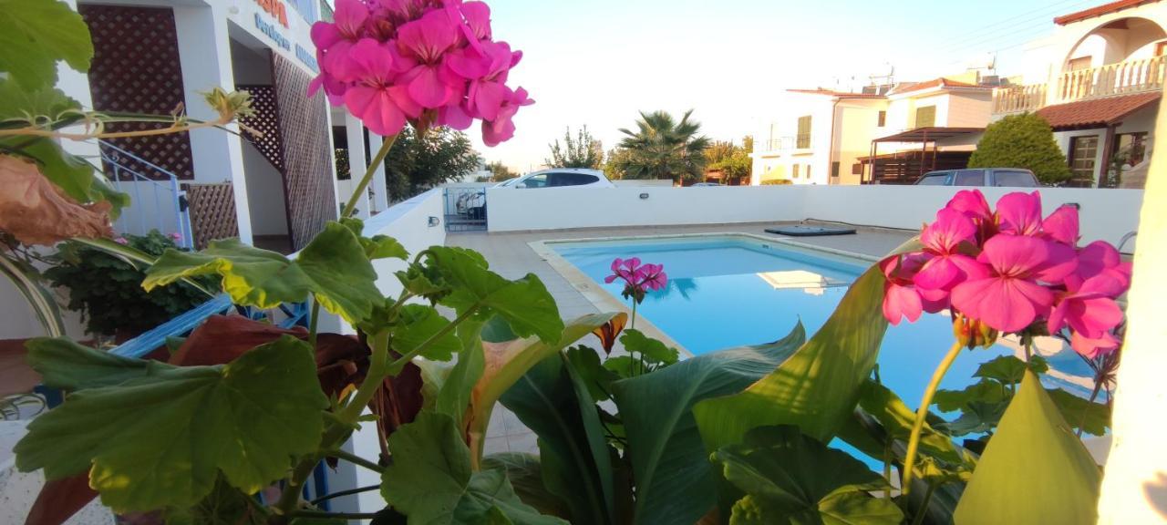 Thalassa Seaside Boutique Beach Apartment Polis Exterior foto